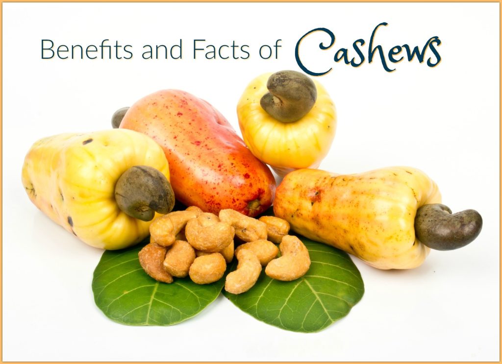 The Cashew Fruit: Unveiling Its Nutritional Benefits