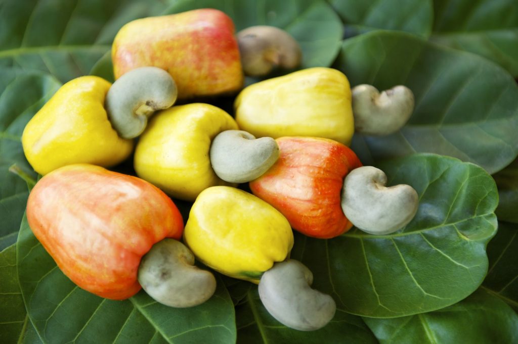 The Cashew Fruit: Unveiling Its Nutritional Benefits