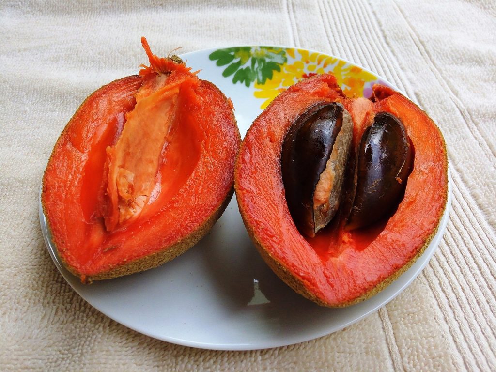 Mamey Fruit: Tropical Delight with Health Benefits