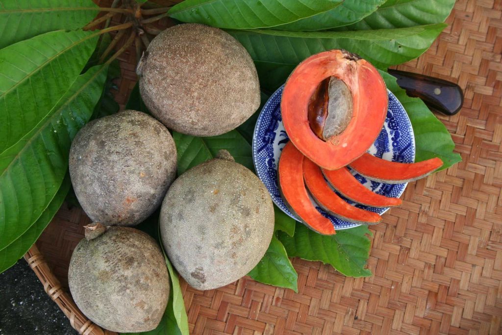 Mamey Fruit: Tropical Delight with Health Benefits