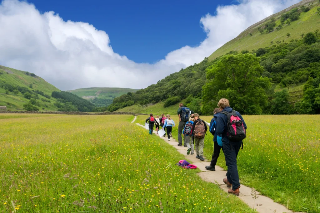 Nature Walks: Embracing Serenity Through Nature Exploration