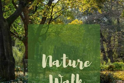 Nature Walks: Embracing Serenity Through Nature Exploration