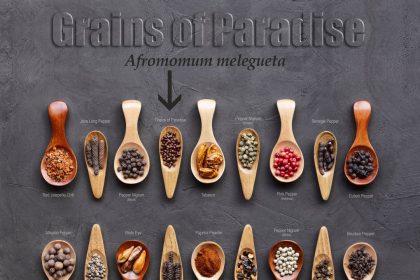 Grains of Paradise: Natural Weight Loss Aid & Benefits