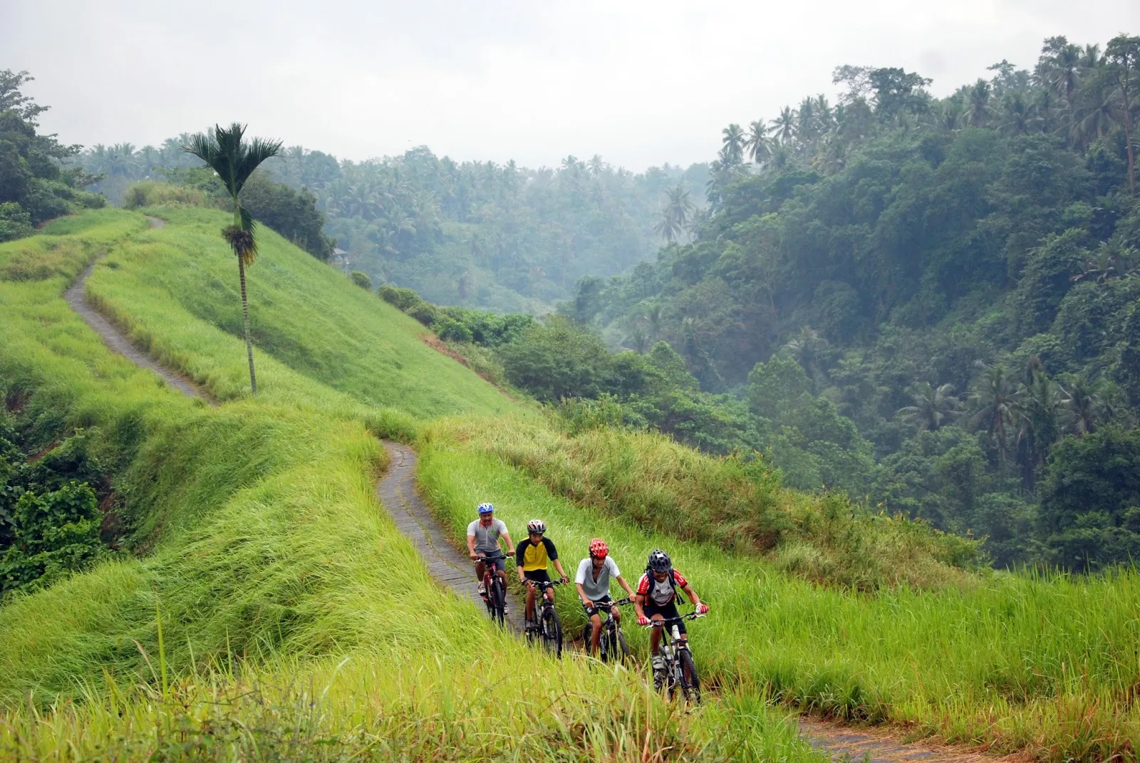 Cycling Tourism: Explore the World on Two Wheels