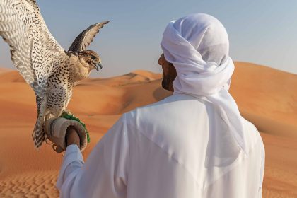 Falconry Shows: Dubai's Ancient Tradition in Action