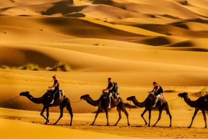 Explore the Exciting Desert of Dubai with Camel Riding!